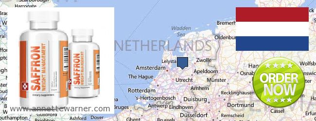 Where to Buy Saffron Extract online Netherlands