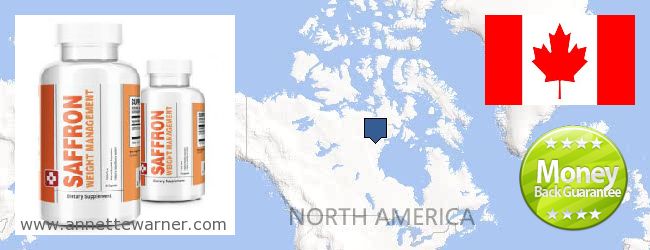 Where to Buy Saffron Extract online Newfoundland and Labrador NL, Canada