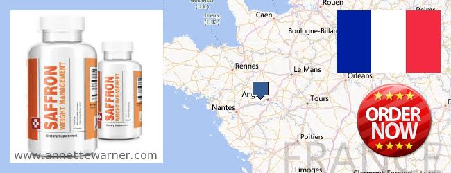 Where to Buy Saffron Extract online Pays de la Loire, France