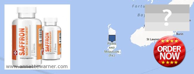 Where to Buy Saffron Extract online Saint Pierre And Miquelon