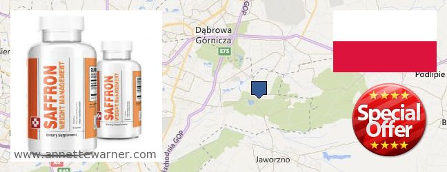 Best Place to Buy Saffron Extract online Sosnowiec, Poland