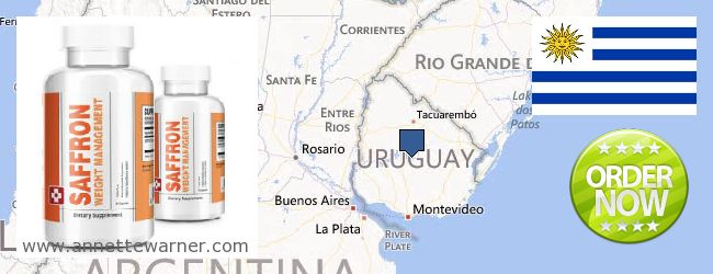 Gdzie kupić Saffron Extract w Internecie Uruguay