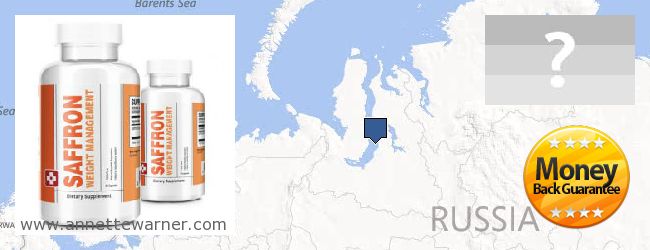 Buy Saffron Extract online Yamalo-Nenetskiy avtonomnyy okrug, Russia