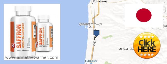 Where to Buy Saffron Extract online Yokohama, Japan