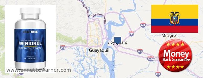Best Place to Buy Winstrol Steroid online Eloy Alfaro, Ecuador