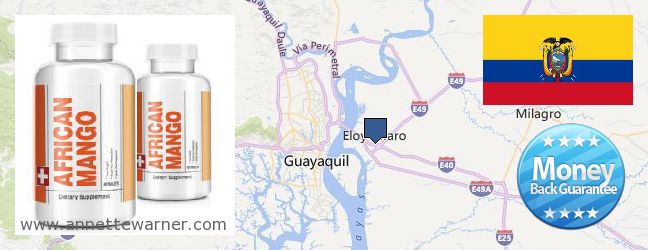 Where to Buy African Mango Extract Pills online Eloy Alfaro, Ecuador