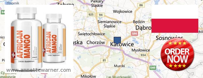 Purchase African Mango Extract Pills online Katowice, Poland