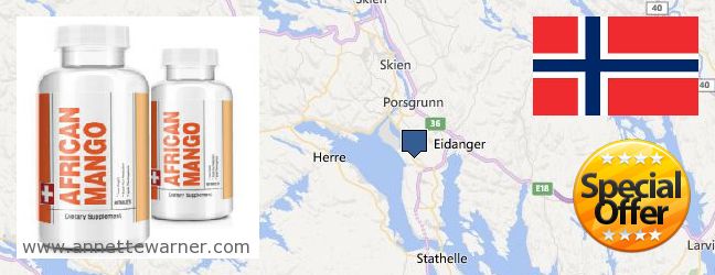 Where to Buy African Mango Extract Pills online Porsgrunn, Norway