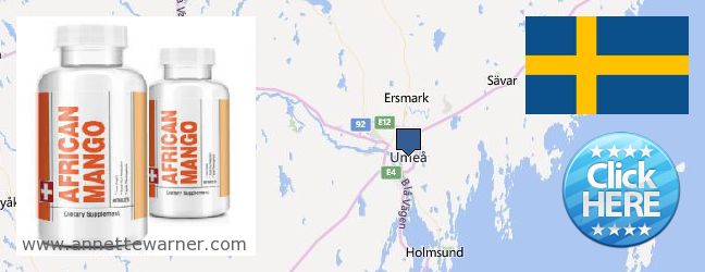 Where to Buy African Mango Extract Pills online Umea, Sweden