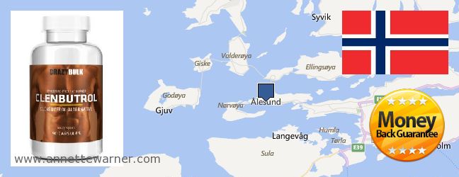 Where to Buy Clenbuterol Steroids online Alesund, Norway