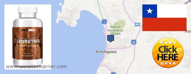Where to Buy Clenbuterol Steroids online Antofagasta, Chile