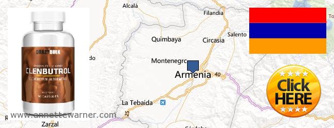 Dónde comprar Clenbuterol Steroids en linea Armenia