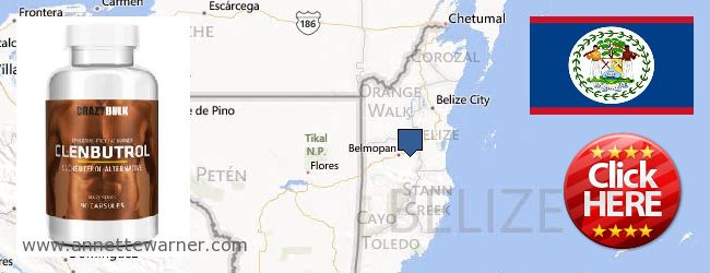 Unde să cumpărați Clenbuterol Steroids on-line Belize