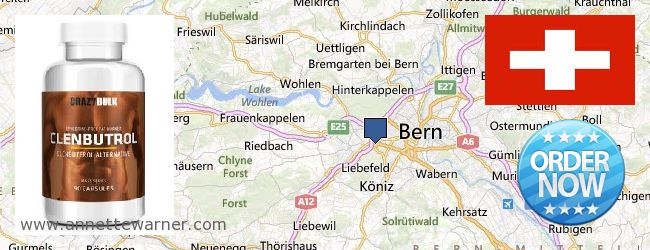 Where to Buy Clenbuterol Steroids online Bern, Switzerland