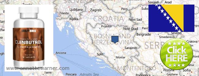 Unde să cumpărați Clenbuterol Steroids on-line Bosnia And Herzegovina