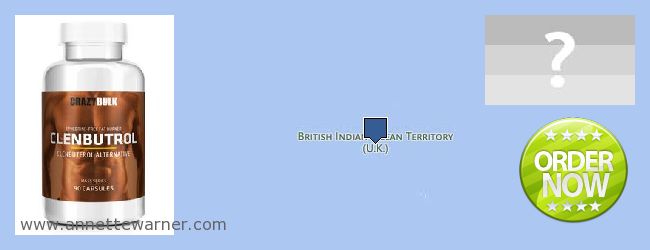 Unde să cumpărați Clenbuterol Steroids on-line British Indian Ocean Territory