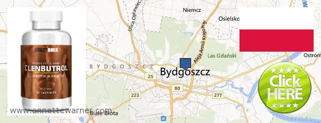 Purchase Clenbuterol Steroids online Bydgoszcz, Poland