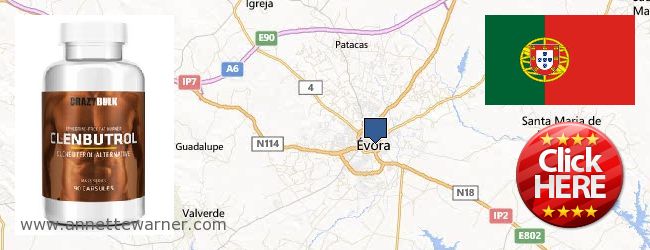 Where to Purchase Clenbuterol Steroids online Évora, Portugal