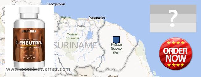 Gdzie kupić Clenbuterol Steroids w Internecie French Guiana