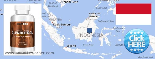 Dove acquistare Clenbuterol Steroids in linea Indonesia