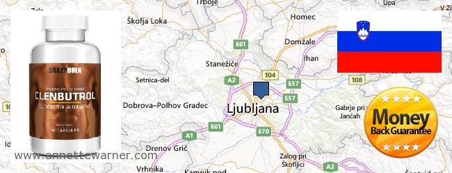 Where to Purchase Clenbuterol Steroids online Ljubljana, Slovenia