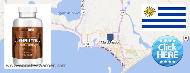 Where to Buy Clenbuterol Steroids online Maldonado, Uruguay