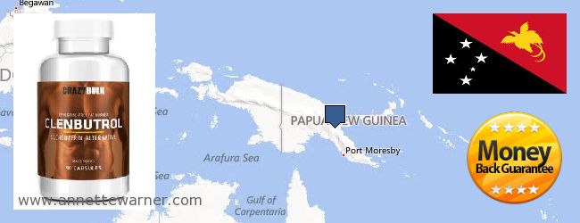 Где купить Clenbuterol Steroids онлайн Papua New Guinea