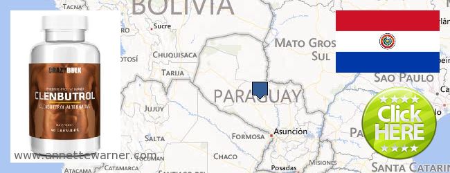 Dove acquistare Clenbuterol Steroids in linea Paraguay