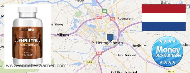 Where to Buy Clenbuterol Steroids online s-Hertogenbosch, Netherlands