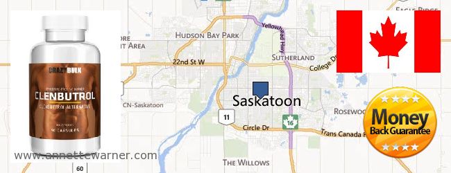 Where to Purchase Clenbuterol Steroids online Saskatoon SASK, Canada