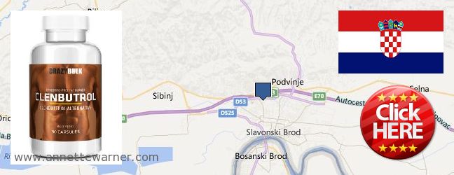 Best Place to Buy Clenbuterol Steroids online Slavonski Brod, Croatia