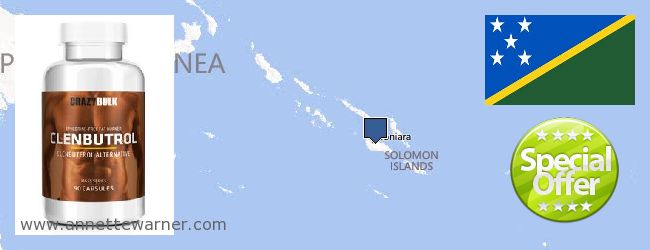 Где купить Clenbuterol Steroids онлайн Solomon Islands