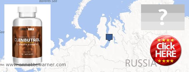 Where to Buy Clenbuterol Steroids online Yamalo-Nenetskiy avtonomnyy okrug, Russia