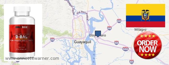 Best Place to Buy Dianabol Steroids online Eloy Alfaro, Ecuador