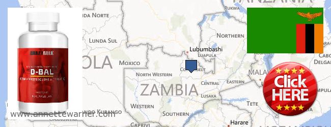 Πού να αγοράσετε Dianabol Steroids σε απευθείας σύνδεση Zambia