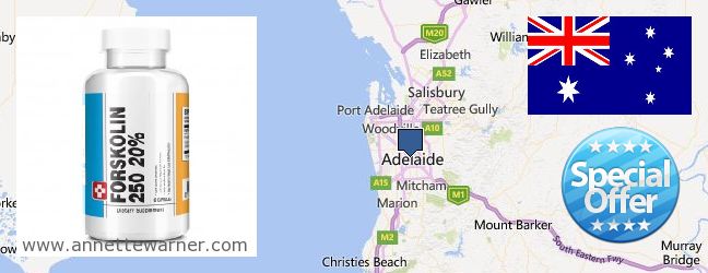 Where to Purchase Forskolin Extract online Adelaide, Australia