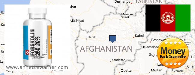 Къде да закупим Forskolin онлайн Afghanistan