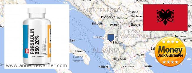 Где купить Forskolin онлайн Albania