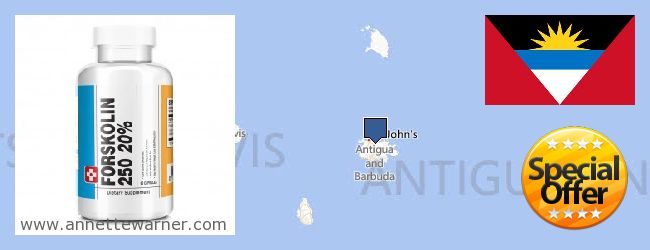 Kde kúpiť Forskolin on-line Antigua And Barbuda