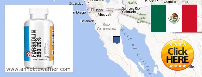 Where to Buy Forskolin Extract online Baja California, Mexico