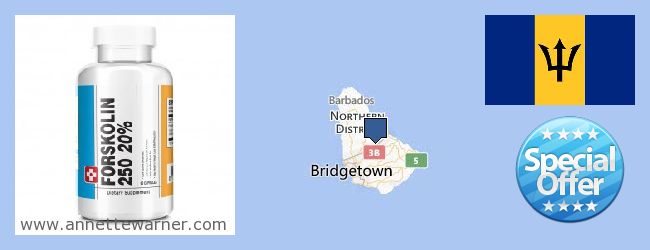 Unde să cumpărați Forskolin on-line Barbados