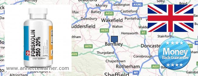 Where to Buy Forskolin Extract online Barnsley, United Kingdom