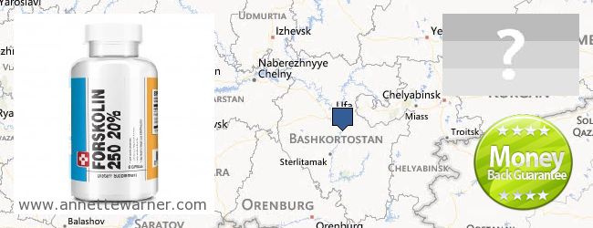 Where Can I Buy Forskolin Extract online Bashkortostan Republic, Russia