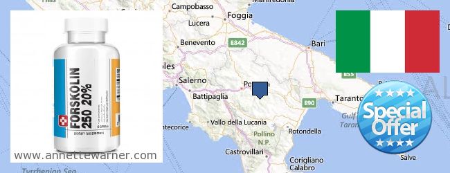Where to Buy Forskolin Extract online Basilicata, Italy
