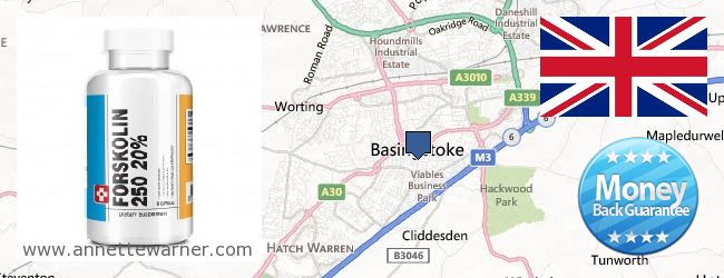 Where to Buy Forskolin Extract online Basingstoke, United Kingdom