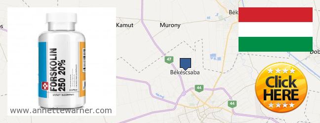 Best Place to Buy Forskolin Extract online Békéscsaba, Hungary