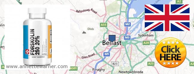 Where to Buy Forskolin Extract online Belfast, United Kingdom