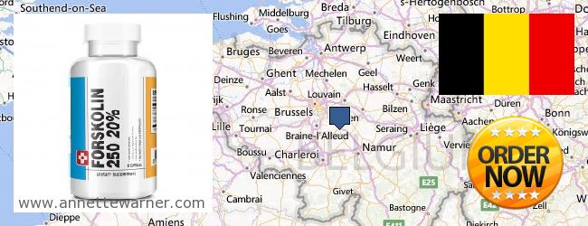 Kde kúpiť Forskolin on-line Belgium