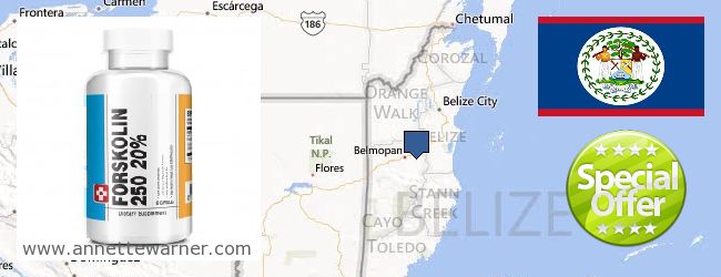 Kde kúpiť Forskolin on-line Belize
