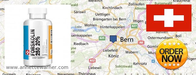 Where to Buy Forskolin Extract online Bern, Switzerland